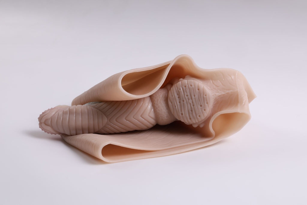 Monster-Strap On Dildo,  2 in 1 with Asshole Opening & Insertable 6.7IN Solid Dick(Ivory)