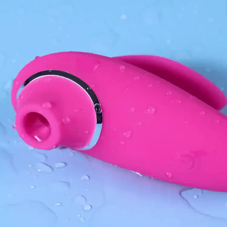 Mini Dolphin
